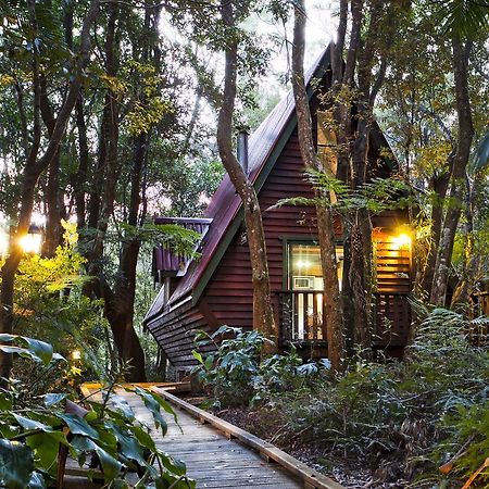 The Mouses House Rainforest Retreat Springbrook Bagian luar foto