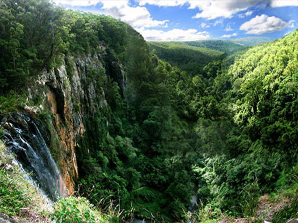 The Mouses House Rainforest Retreat Springbrook Bagian luar foto