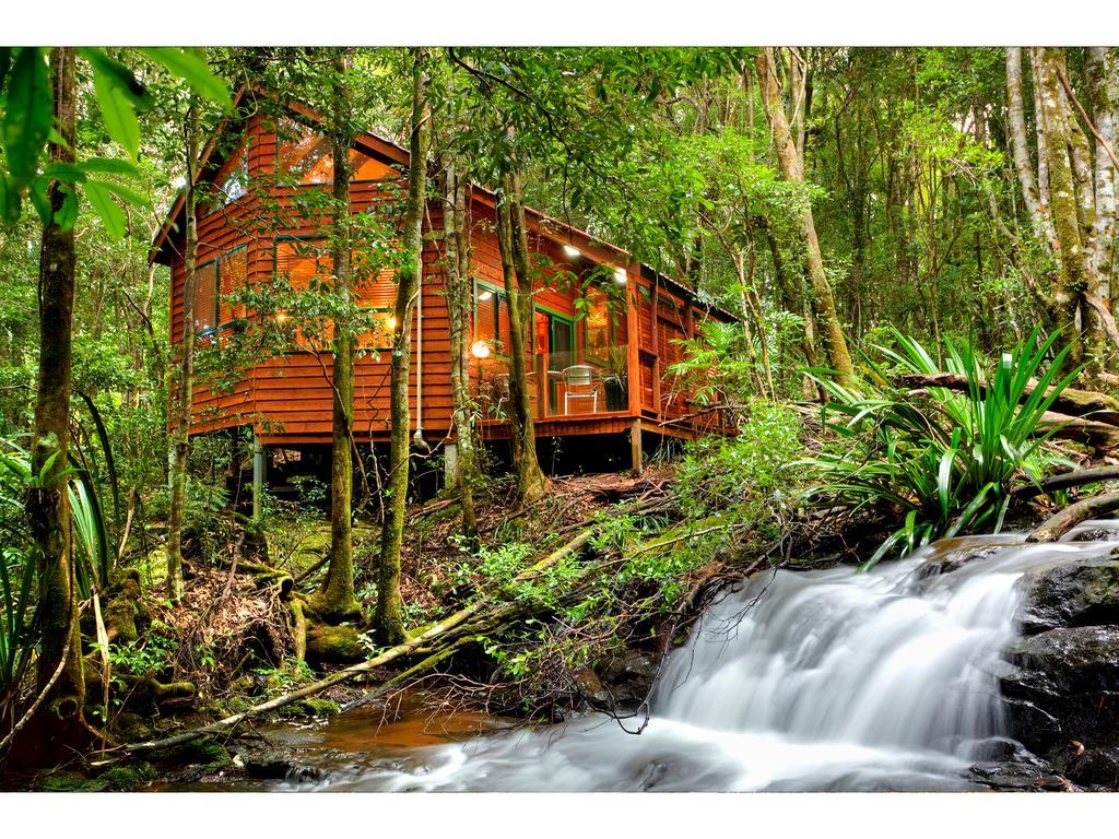 The Mouses House Rainforest Retreat Springbrook Bagian luar foto