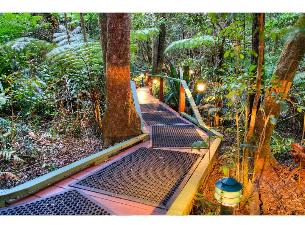 The Mouses House Rainforest Retreat Springbrook Bagian luar foto