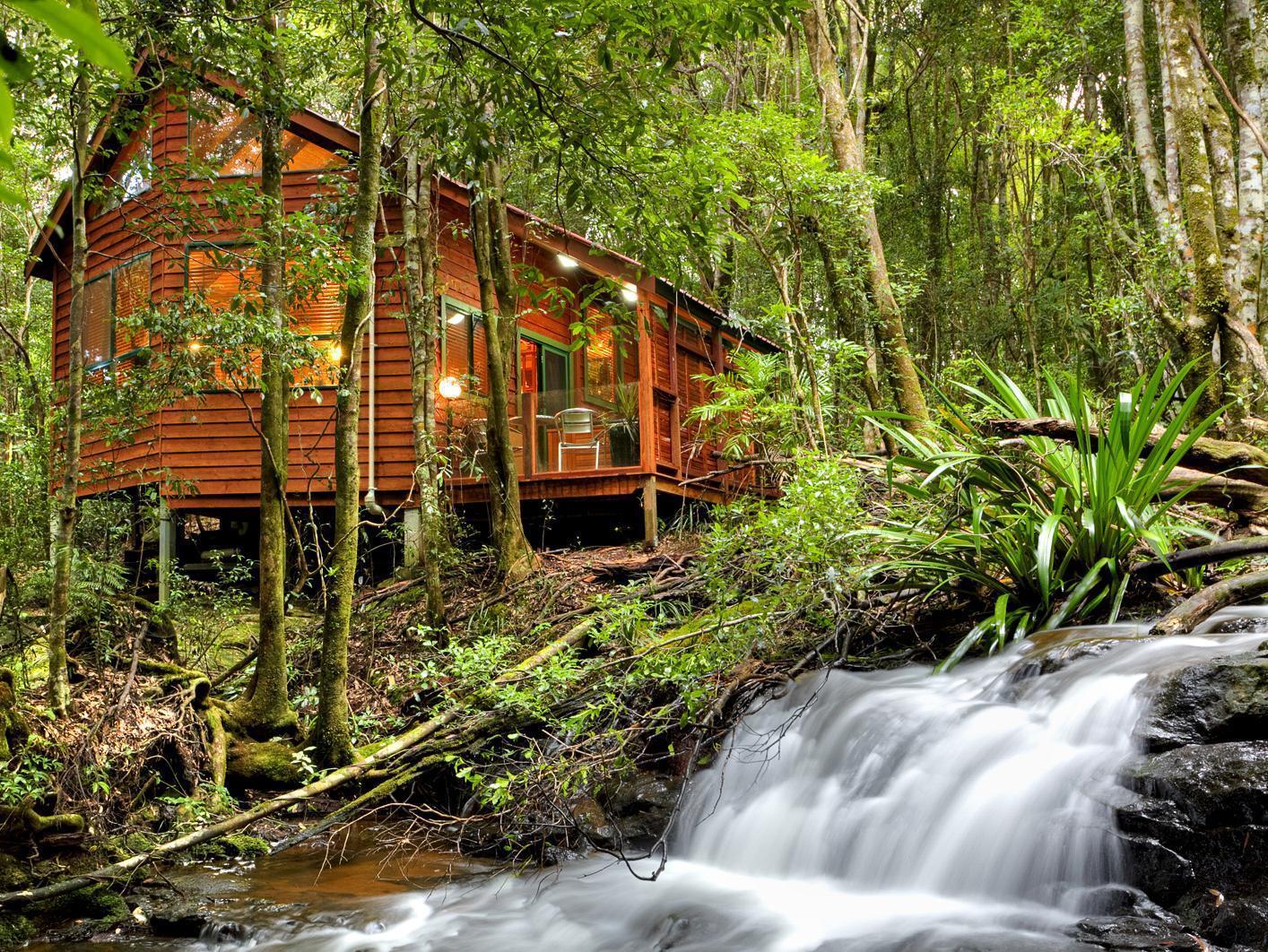 The Mouses House Rainforest Retreat Springbrook Bagian luar foto