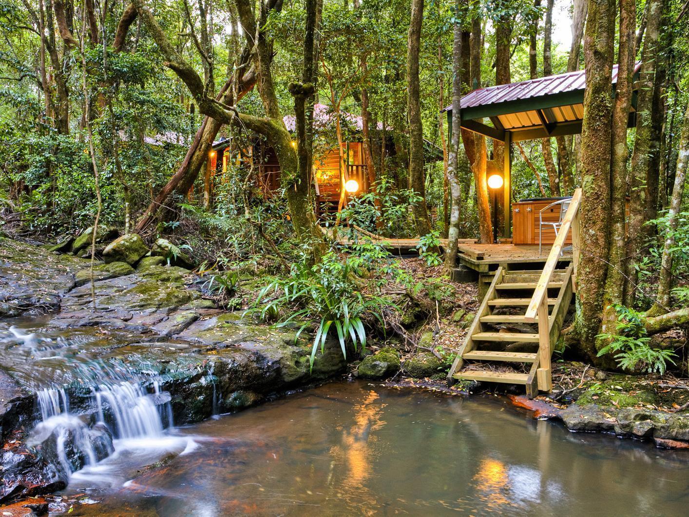 The Mouses House Rainforest Retreat Springbrook Bagian luar foto