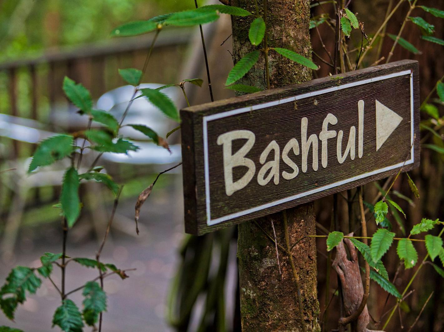 The Mouses House Rainforest Retreat Springbrook Bagian luar foto