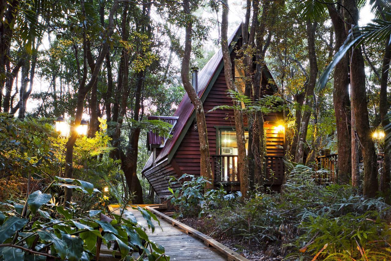 The Mouses House Rainforest Retreat Springbrook Bagian luar foto
