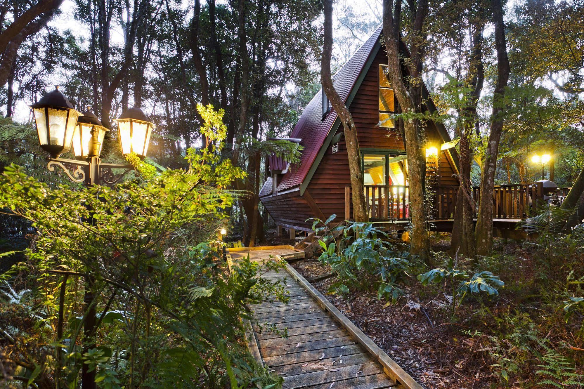 The Mouses House Rainforest Retreat Springbrook Bagian luar foto