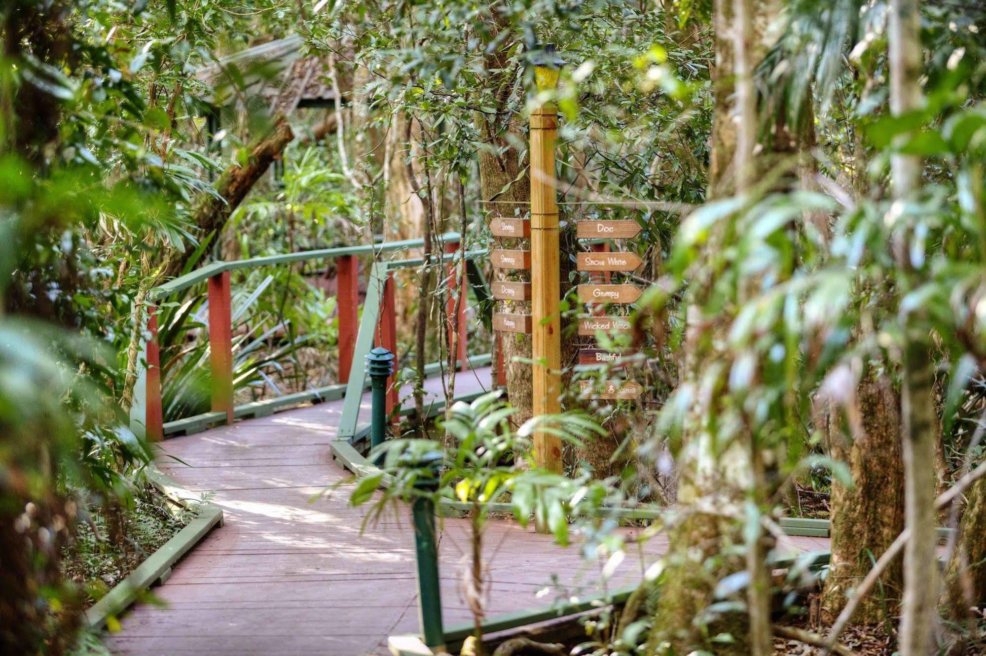 The Mouses House Rainforest Retreat Springbrook Bagian luar foto