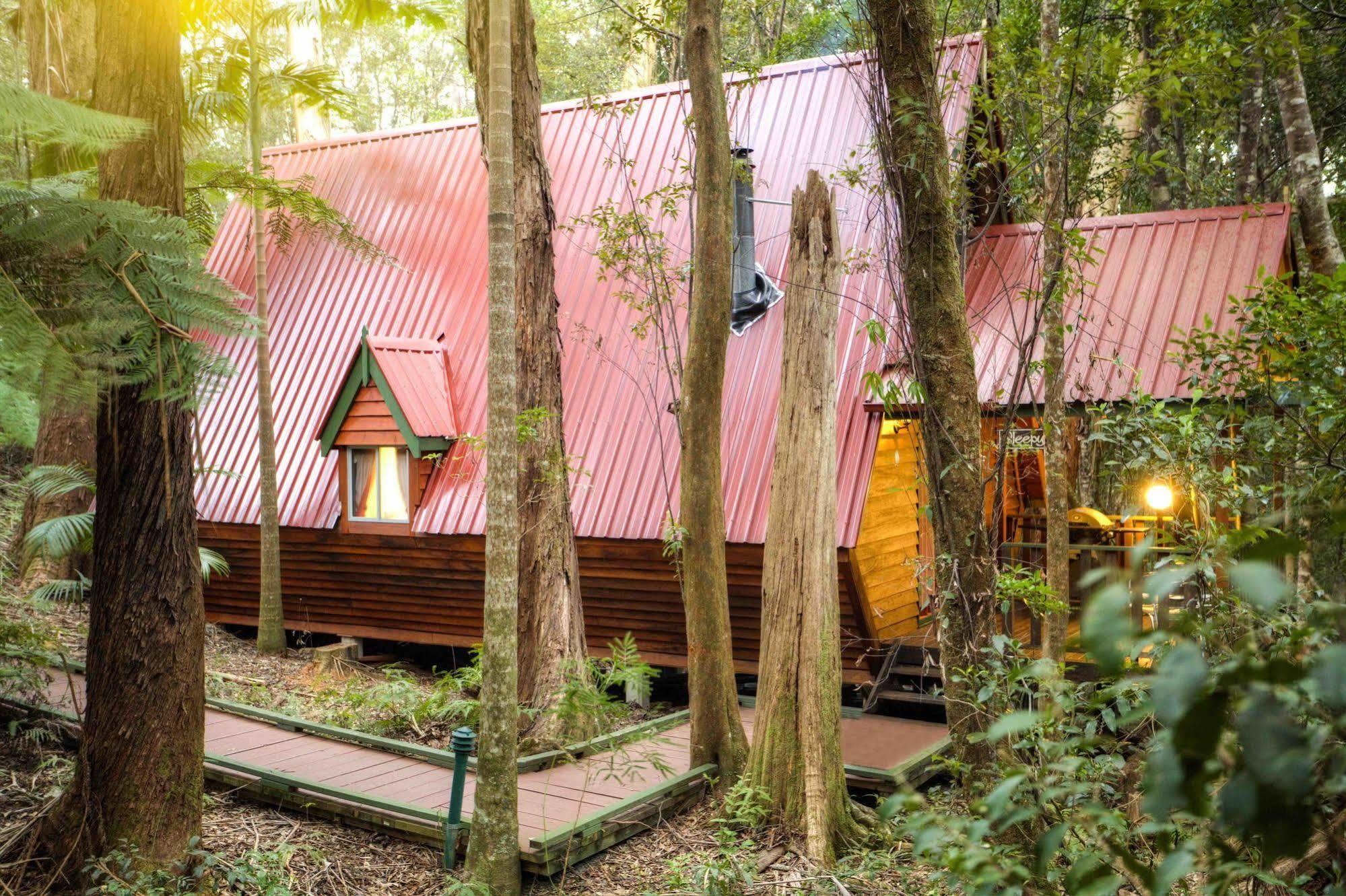 The Mouses House Rainforest Retreat Springbrook Bagian luar foto