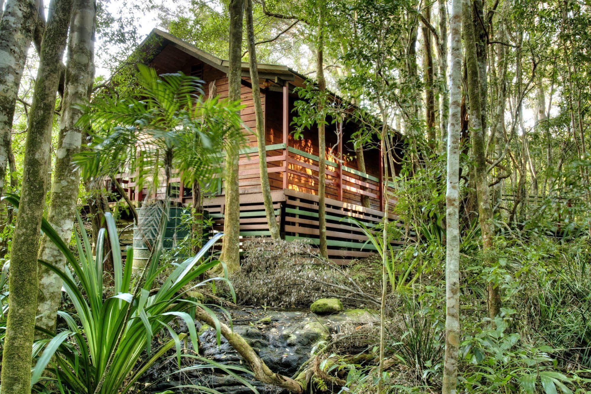 The Mouses House Rainforest Retreat Springbrook Bagian luar foto