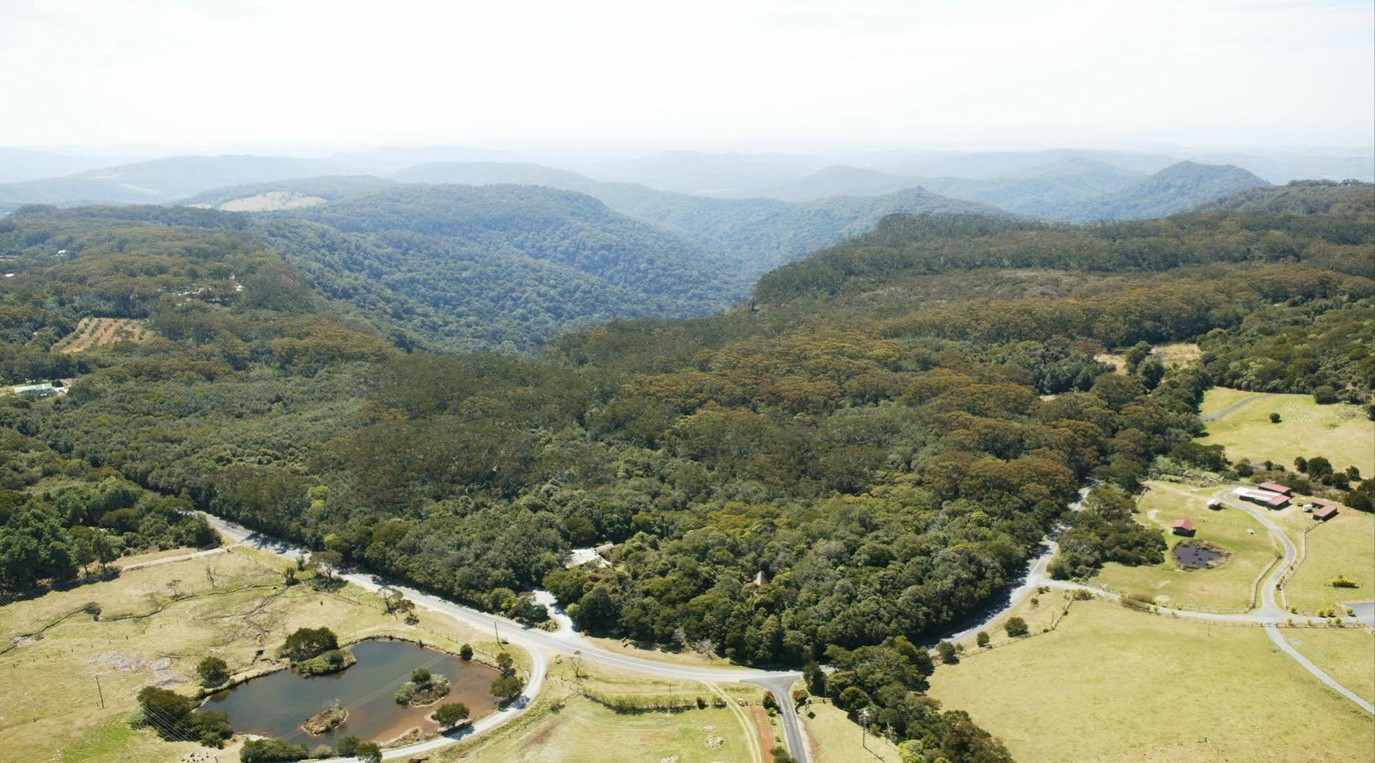 The Mouses House Rainforest Retreat Springbrook Bagian luar foto